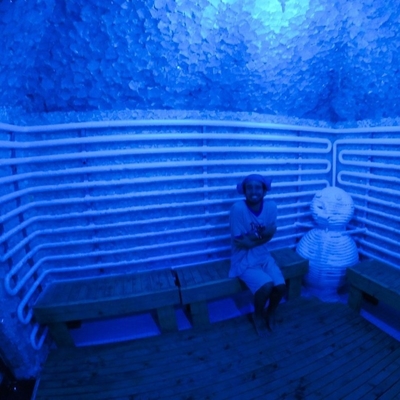 Bropools Ice Sauna Snow Room Ice Fountain Cold Sauna In Cryo Therapy