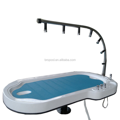 Arc Massage Spa Equipment Vichys Spa Shower Table 10mm Glass Thickness