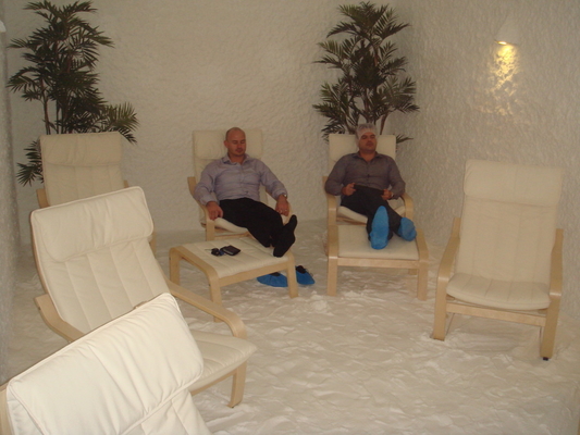 TUV Rich Himalayan Sauna Salt Room Therapy With Halo Therapy Function
